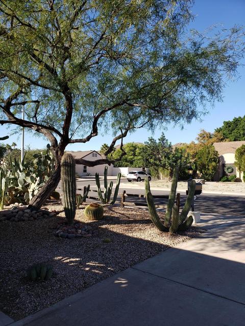 4601 E Sunrise Dr, Phoenix, AZ 85044 photo 23