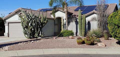 3102 E Rosemonte Dr, Phoenix, AZ 85050 photo 3