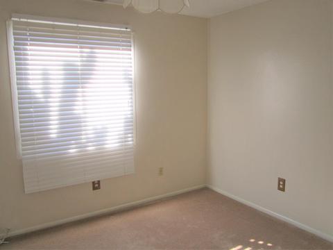 3614 E Crocus Dr, Phoenix, AZ 85032 photo 8