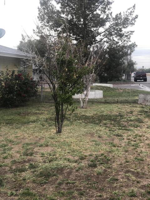101 W Valencia Dr, Phoenix, AZ 85041 photo 22