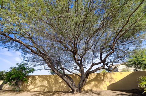 726 W Briles Rd, Phoenix, AZ 85085 photo 58