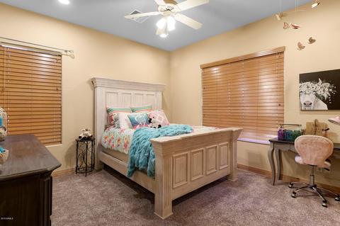 726 W Briles Rd, Phoenix, AZ 85085 photo 38