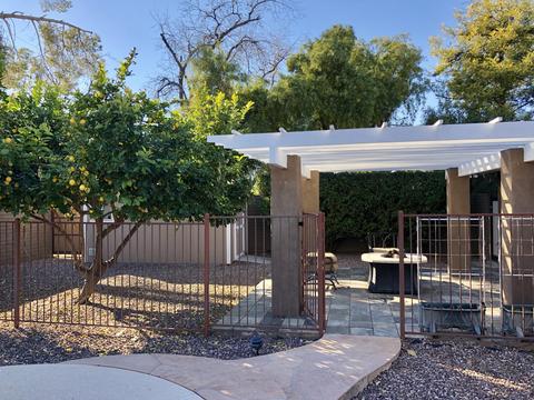 4245 E Flower St, Phoenix, AZ 85018 photo 45