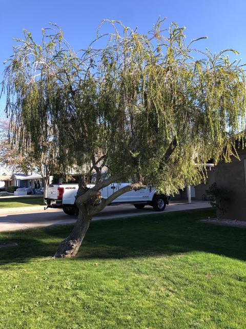 4245 E Flower St, Phoenix, AZ 85018 photo 32