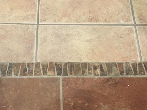 171 S Roadrunner Rd, Apache Junction, AZ 85119 photo 49