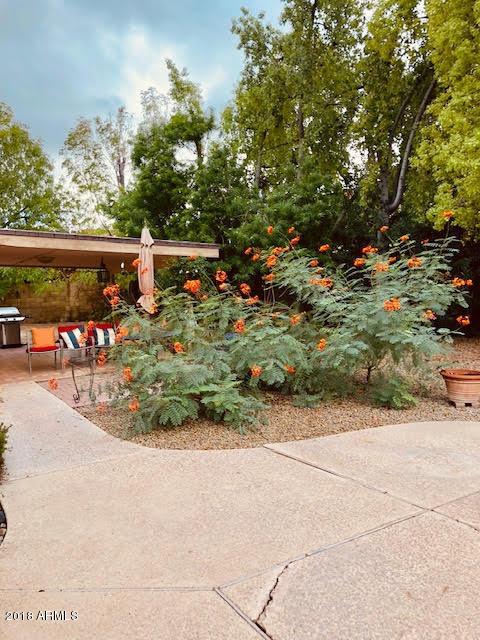 2005 E Redfield Rd, Tempe, AZ 85283 photo 48