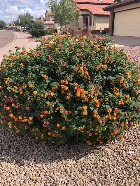 2005 E Redfield Rd, Tempe, AZ 85283 photo 35