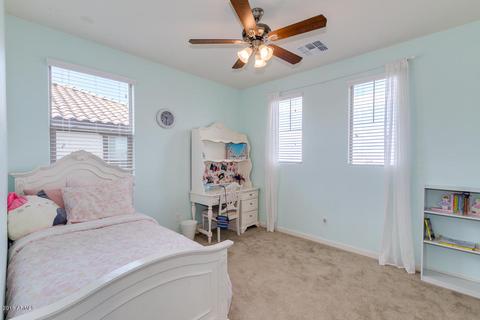 2843 E Palm St, Mesa, AZ 85213 photo 40