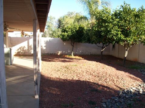 3517 E Kerry Ln, Phoenix, AZ 85050 photo 14