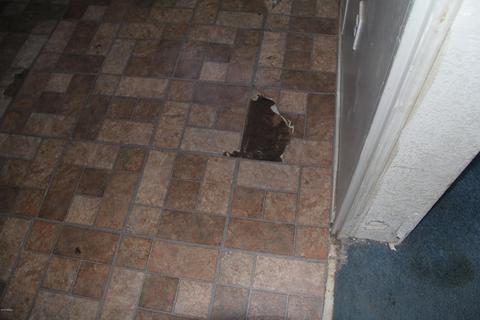 20002 N 29th St, Phoenix, AZ 85050 photo 6