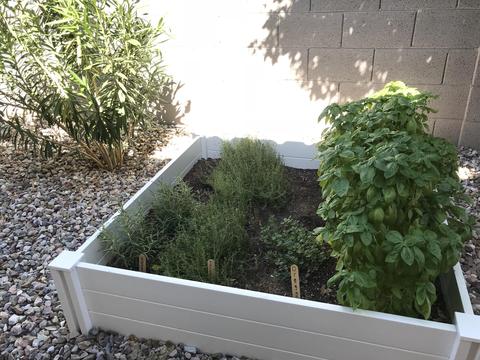 2243 E Heston Dr, Phoenix, AZ 85024 photo 26