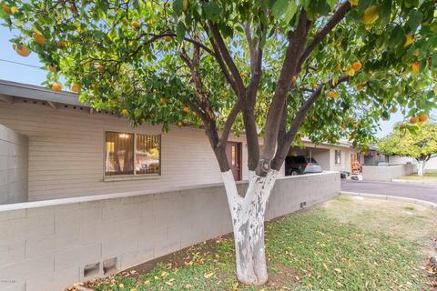 1219 E Colter St #5, Phoenix, AZ 85014 photo 7