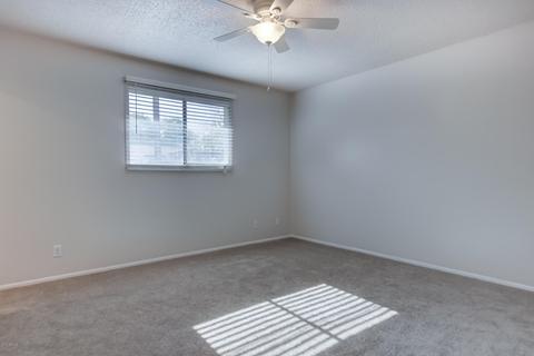 1143 W 12th St, Tempe, AZ 85281 photo 16