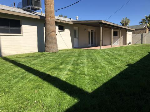 1143 W 12th St, Tempe, AZ 85281 photo 22