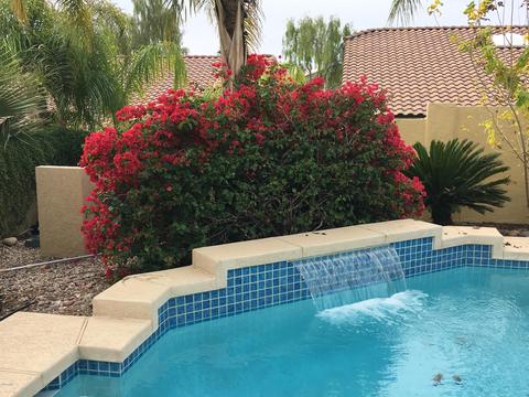 1955 E Hillery Dr, Phoenix, AZ 85022 photo 13