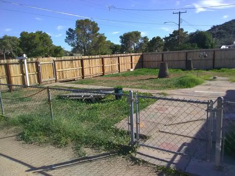 10028 N 7th Ave, Phoenix, AZ 85021 photo 3