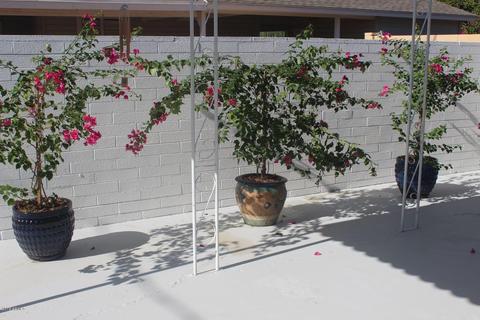 916 W Campbell Ave, Phoenix, AZ 85013 photo 34