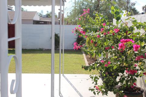 916 W Campbell Ave, Phoenix, AZ 85013 photo 33
