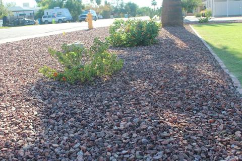 916 W Campbell Ave, Phoenix, AZ 85013 photo 46