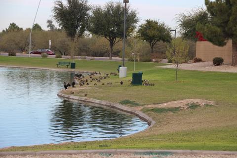 4826 E Thunderbird Dr, Chandler, AZ 85249 photo 36