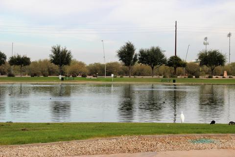 4826 E Thunderbird Dr, Chandler, AZ 85249 photo 34
