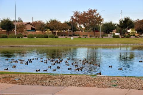 4826 E Thunderbird Dr, Chandler, AZ 85249 photo 35