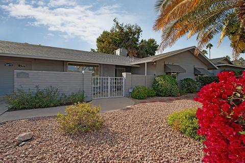 2509 E Brown St, Phoenix, AZ 85028 photo 3