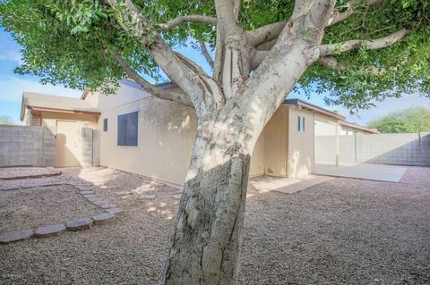 401 E Wickieup Ln, Phoenix, AZ 85024 photo 14