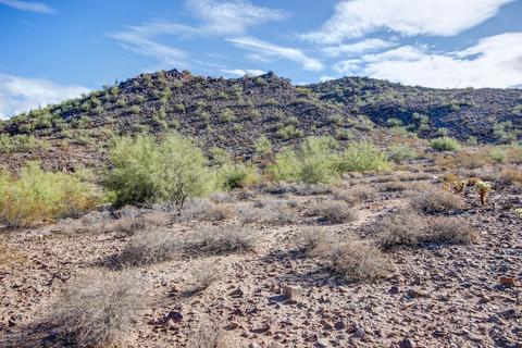 1719 E Samuel Dr, Phoenix, AZ 85024 photo 57