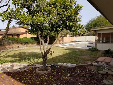 2826 E Decatur St, Mesa, AZ 85213 photo 30