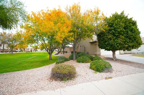 1808 Erie St, Gilbert, AZ 85295 photo 3