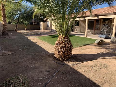 667 E Washington Ave, Gilbert, AZ 85234 photo 11