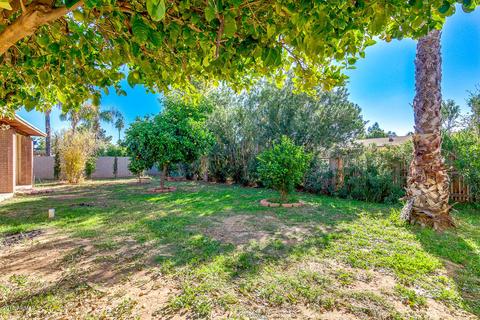 4359 E Bluefield Ave, Phoenix, AZ 85032 photo 35