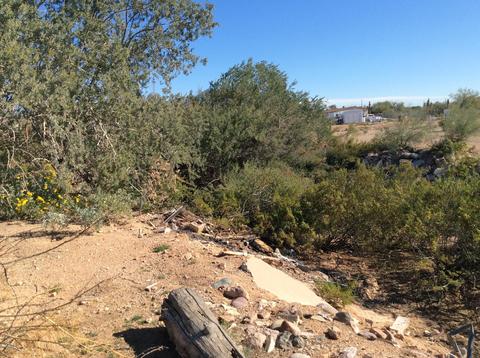 1480 W Frontier St, Apache Junction, AZ 85120 photo 65