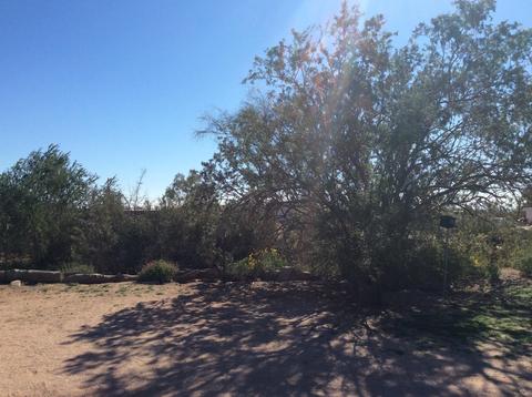 1480 W Frontier St, Apache Junction, AZ 85120 photo 63