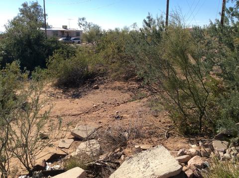1480 W Frontier St, Apache Junction, AZ 85120 photo 66