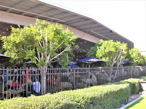 808 E Cavalier Dr, Phoenix, AZ 85014 photo 39