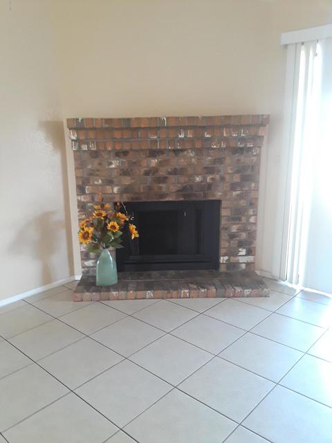 6310 E Mclellan Rd, Mesa, AZ 85205 photo 16