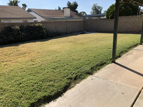 237 W Sequoia Dr, Phoenix, AZ 85027 photo 20