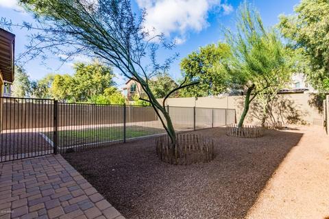 3618 E Half Hitch Pl, Phoenix, AZ 85050 photo 23