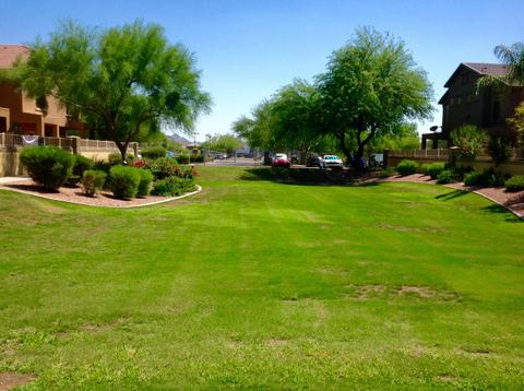 2150 E Bell Rd #1091, Phoenix, AZ 85022 photo 18