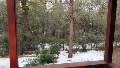 1000 N Colcord Rd, Payson, AZ 85541 photo 24