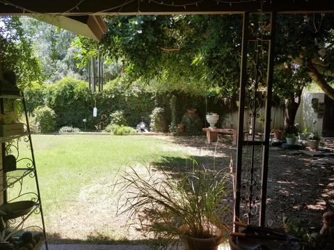 405 E Bishop Dr, Tempe, AZ 85282 photo 76