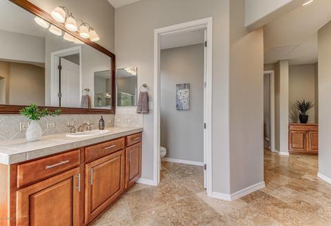 4380 E Ficus Way, Gilbert, AZ 85298 photo 31