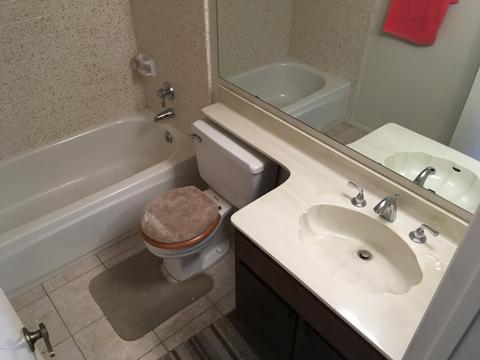 4540 E Willow Ave, Phoenix, AZ 85032 photo 6