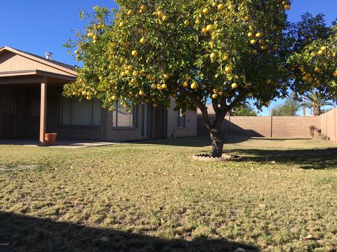 4540 E Willow Ave, Phoenix, AZ 85032 photo 9