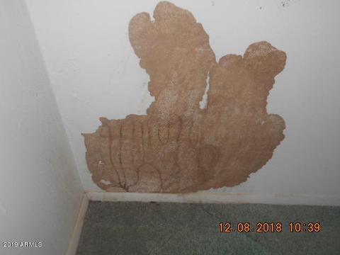 1847 E Pleasant Ln, Phoenix, AZ 85042 photo 23