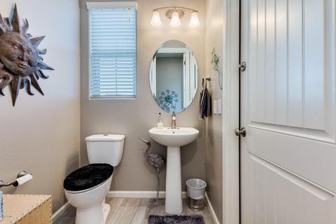 3938 E Honeysuckle Pl, Chandler, AZ 85286 photo 13