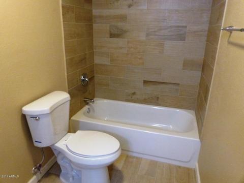 10629 E Quarterline Rd, Mesa, AZ 85207 photo 19