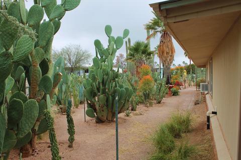 11256 E Boulder Dr, Apache Junction, AZ 85120 photo 15
